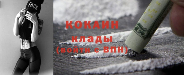гашик Шадринск