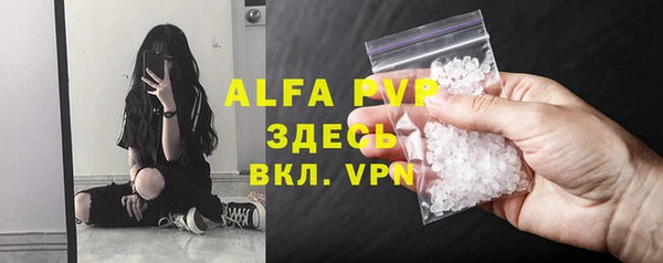 СК Шали