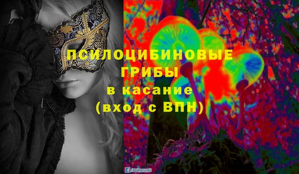 экстази Белокуриха