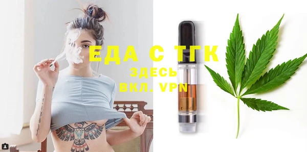 гашик Шадринск