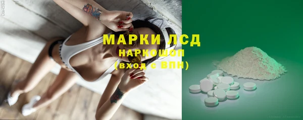 гашик Шадринск