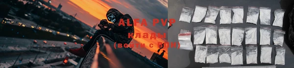 гашик Шадринск