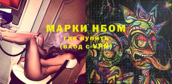 гашик Шадринск