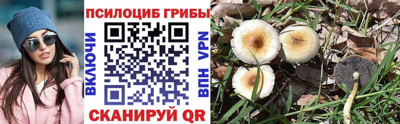 Псилоцибиновые грибы GOLDEN TEACHER  купить   Шенкурск 