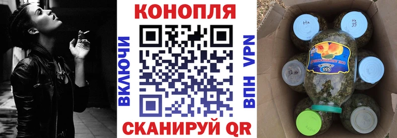 МАРИХУАНА ГИДРОПОН  сколько стоит  Шенкурск 